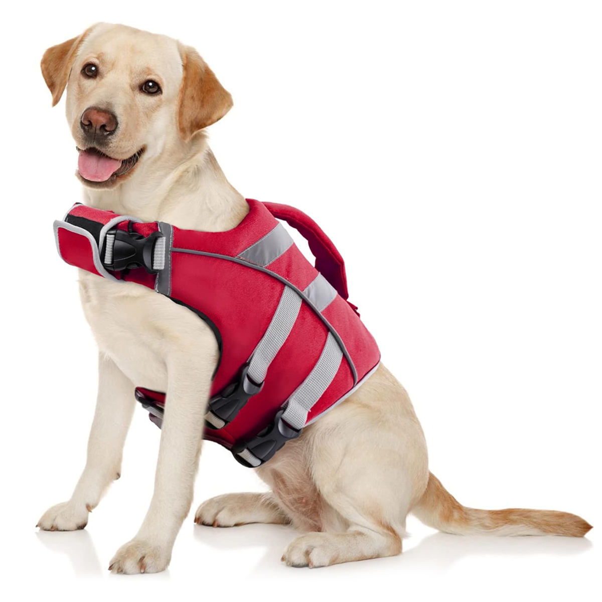 Dog Life Jacket - Garantisci le avventure acquatiche del tuo