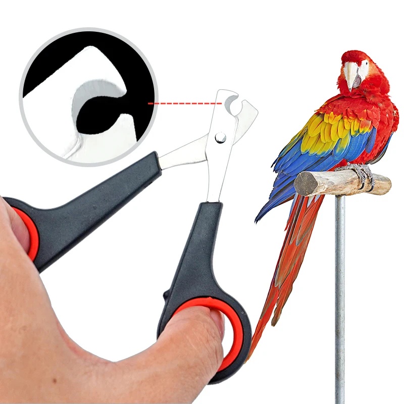 Dog Grooming Clippers - Forbici per Unghie di Pappagalli e