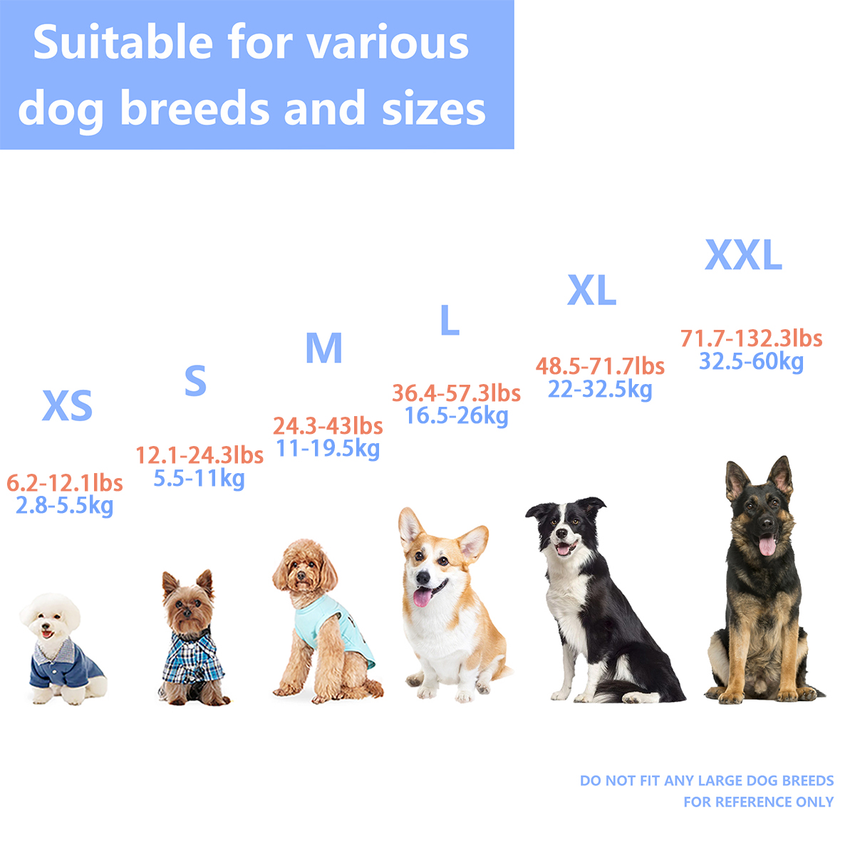 Garantisci le avventure acquat - Dog Life Jacket recensione e prezzo