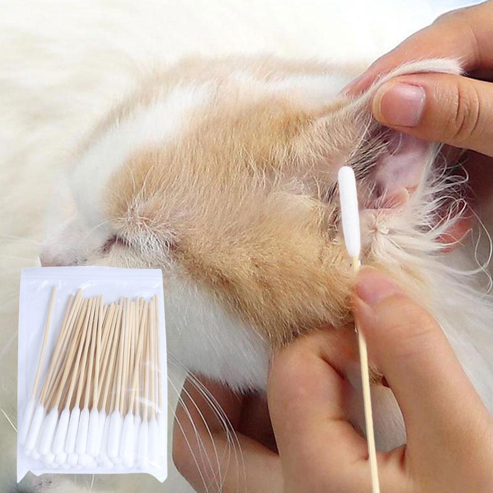 50/100 PCS Bastoncini di coton - Pet Ear Cleaner recensione e prezzo