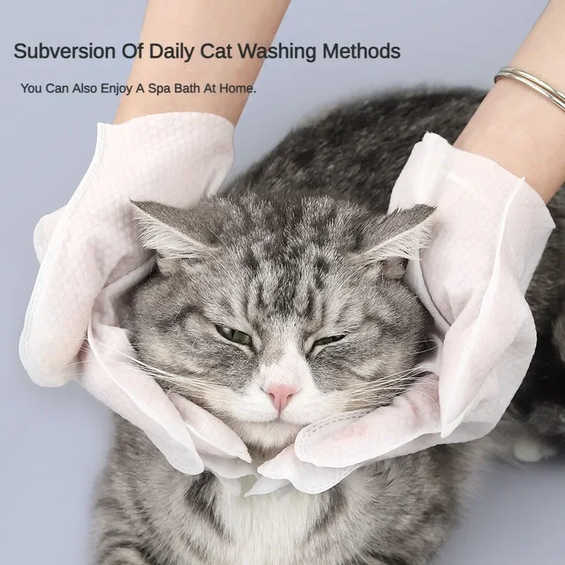 6 pezzi guanti monouso per ani - Pet Ear Cleaner recensione e prezzo