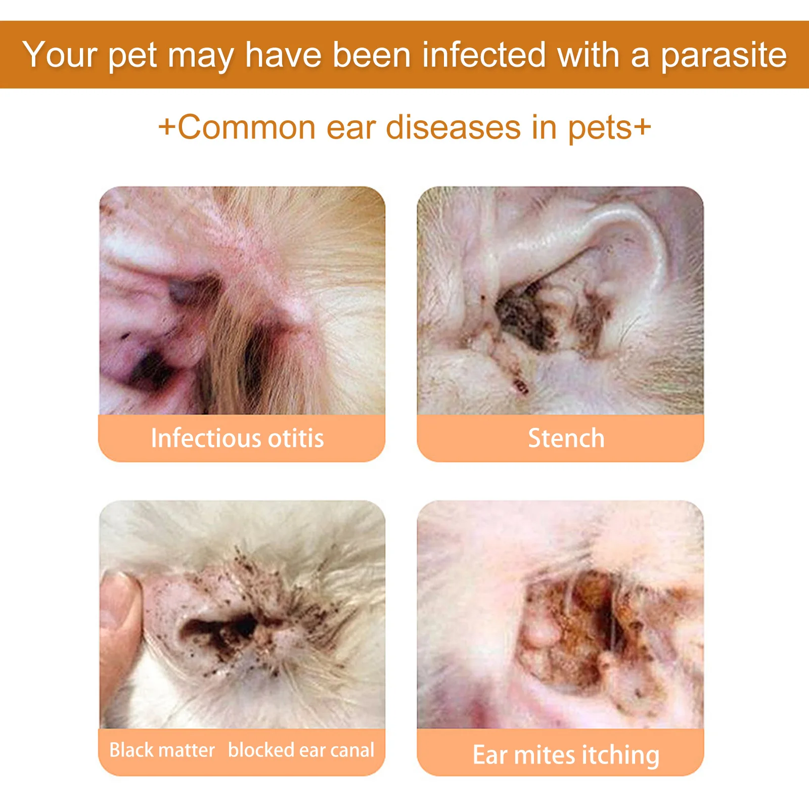 Le gocce per la pulizia dell'o - Pet Ear Cleaner recensione e prezzo