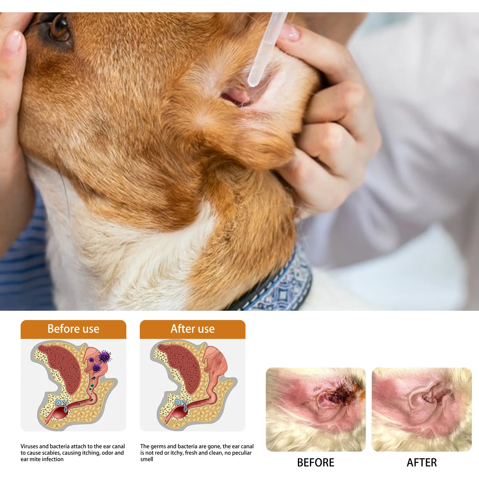 Le gocce per la pulizia dell'o - Pet Ear Cleaner recensione e prezzo