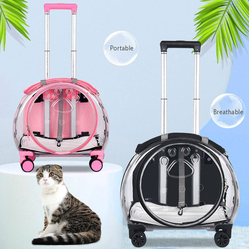 Borsa da trasporto per animali - Pet Stroller Carrier recensione e prezzo