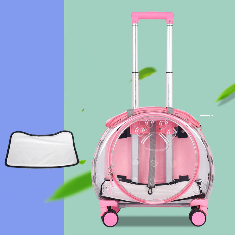 Borsa da trasporto per animali - Pet Stroller Carrier recensione e prezzo