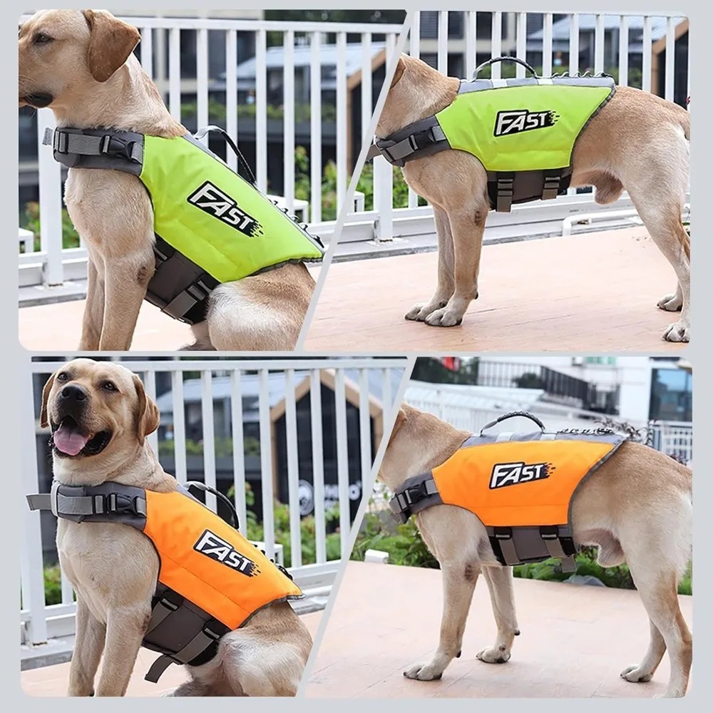 Giubbotto di salvataggio regol - Dog Life Jacket recensione e prezzo