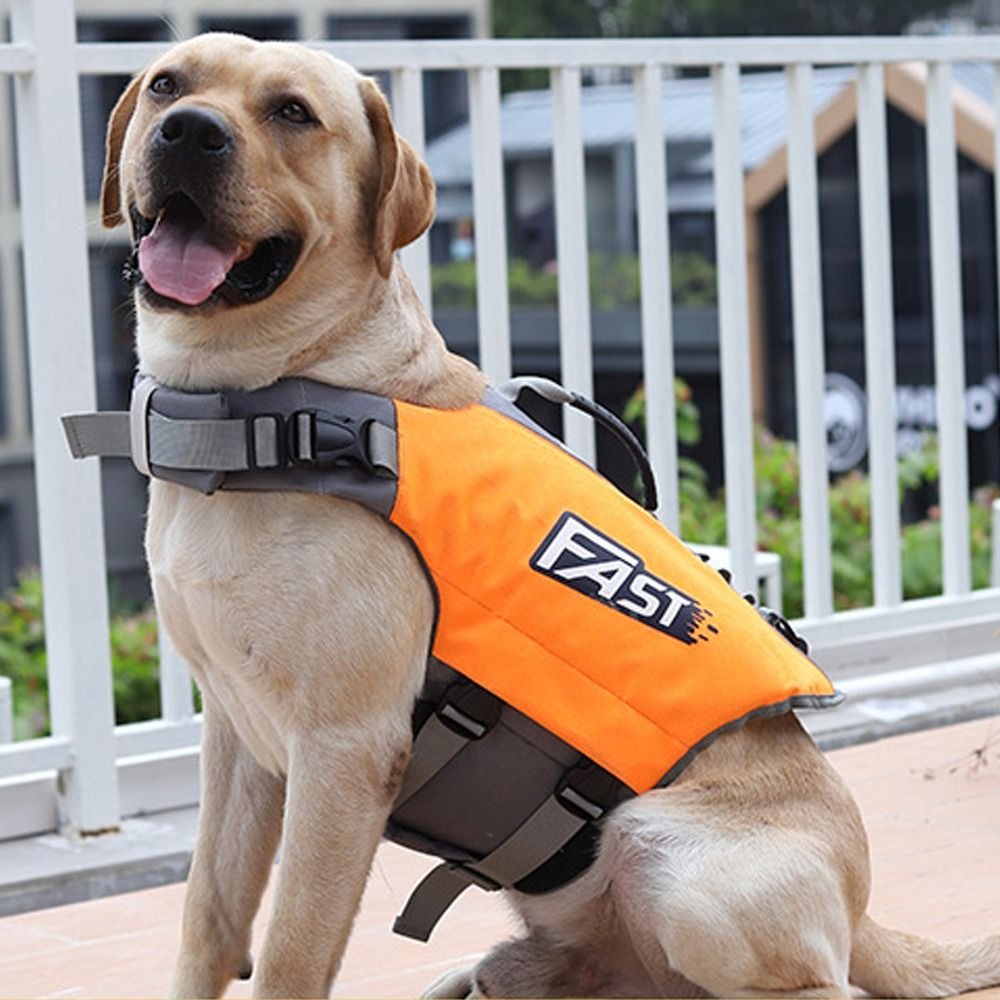 Giubbotto di salvataggio regol - Dog Life Jacket recensione e prezzo