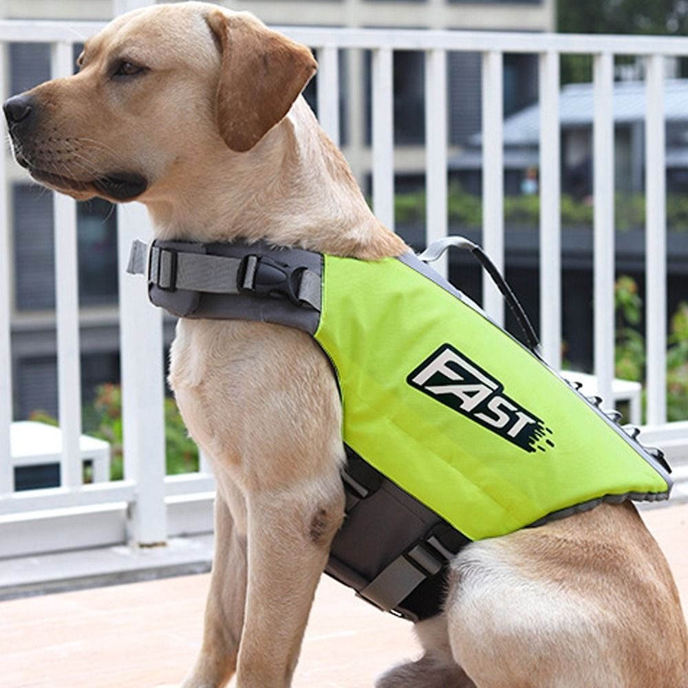 Giubbotto di salvataggio regol - Dog Life Jacket recensione e prezzo