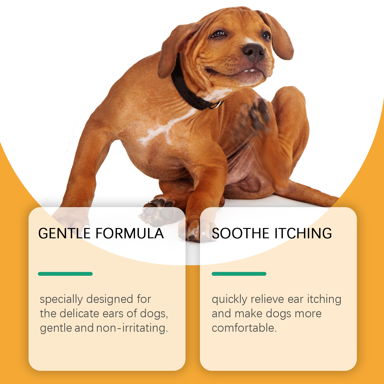 Gocce per la cura dell'orecchi - Pet Ear Cleaner recensione e prezzo
