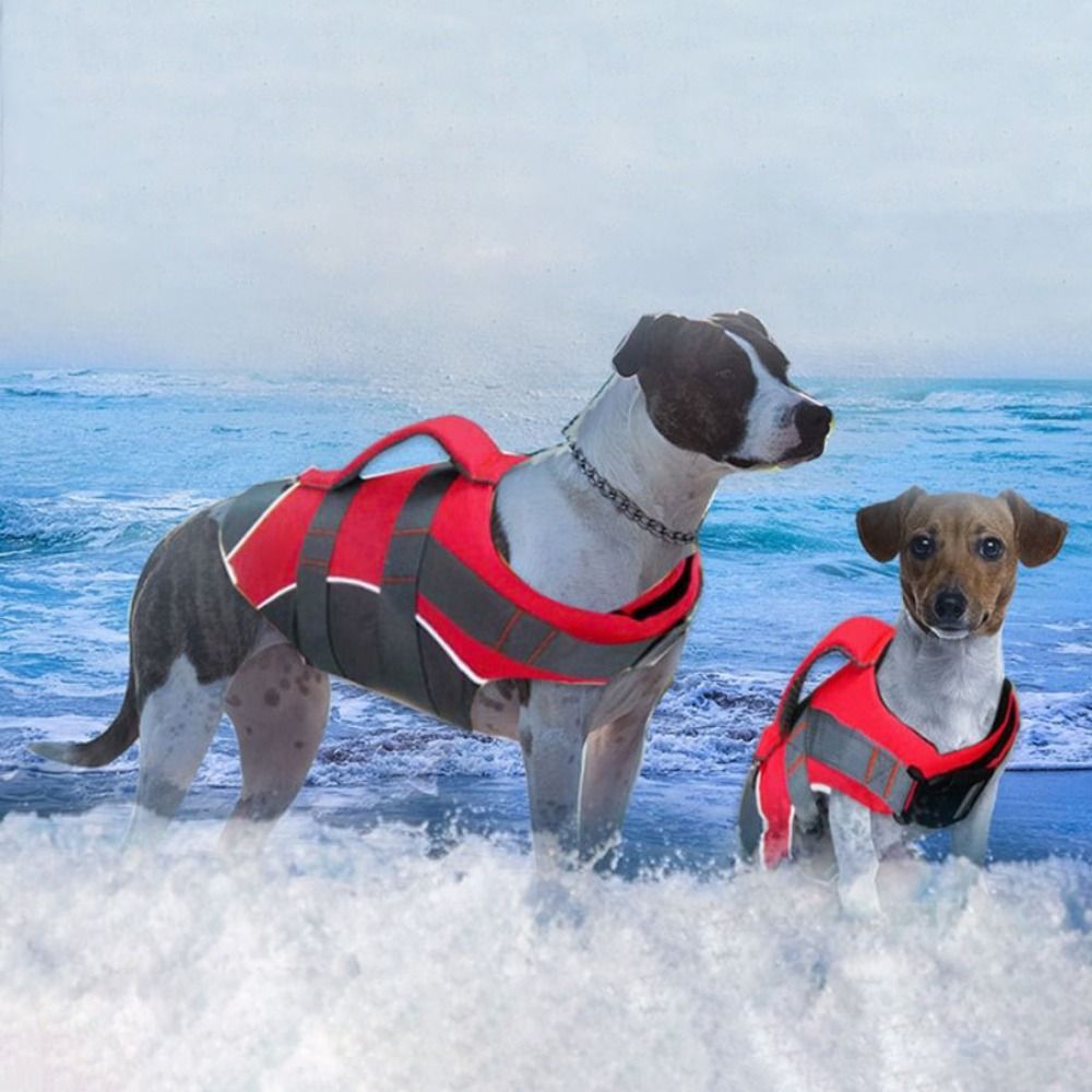 Giubbotto di Salvataggio Rifle - Dog Life Jacket recensione e prezzo