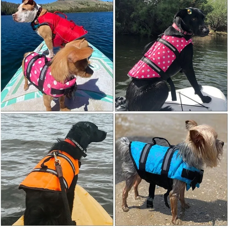 Giubbotto di salvataggio per c - Dog Life Jacket recensione e prezzo