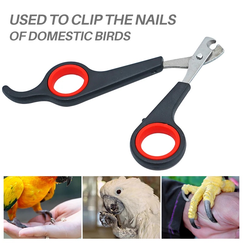 Forbici per Unghie di Pappagal - Dog Grooming Clippers recensione e prezzo