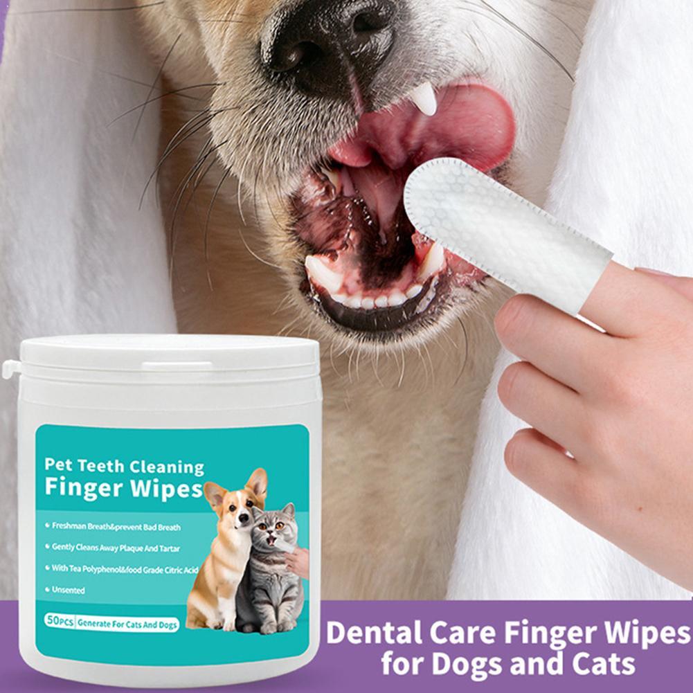 Salviette per la pulizia dei d - Pet Ear Cleaner recensione e prezzo
