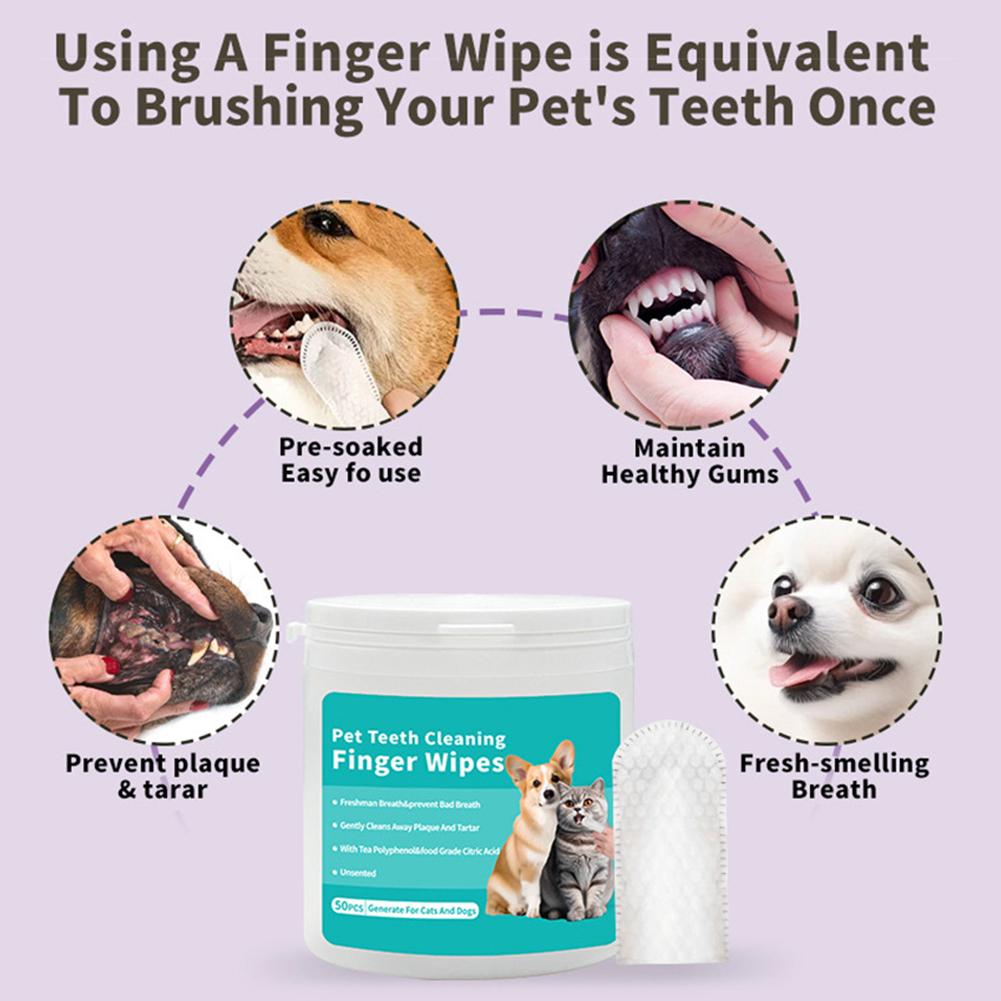 Salviette per la pulizia dei d - Pet Ear Cleaner recensione e prezzo