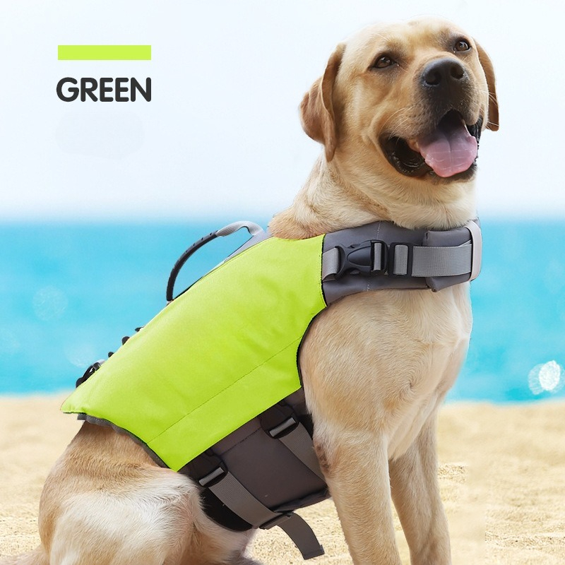 Giubbotto di salvataggio galle - Dog Life Jacket recensione e prezzo