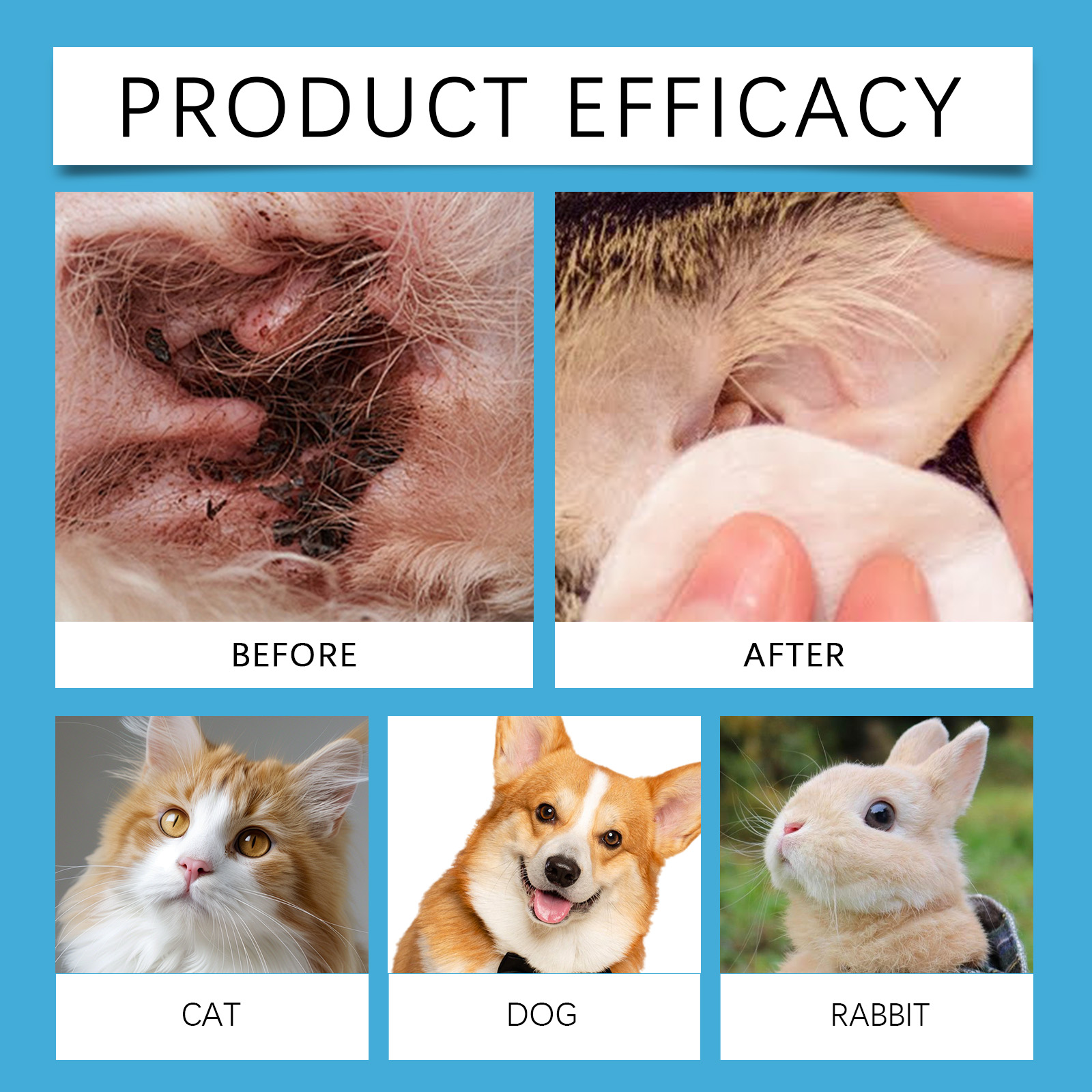 Detergente per orecchie di ani - Pet Ear Cleaner recensione e prezzo