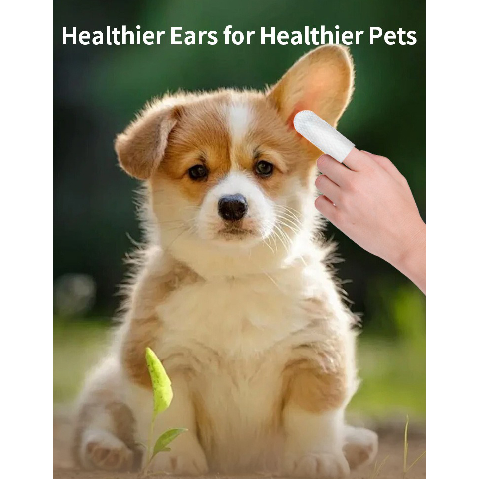 Prodotti per la Pulizia degli  - Pet Ear Cleaner recensione e prezzo