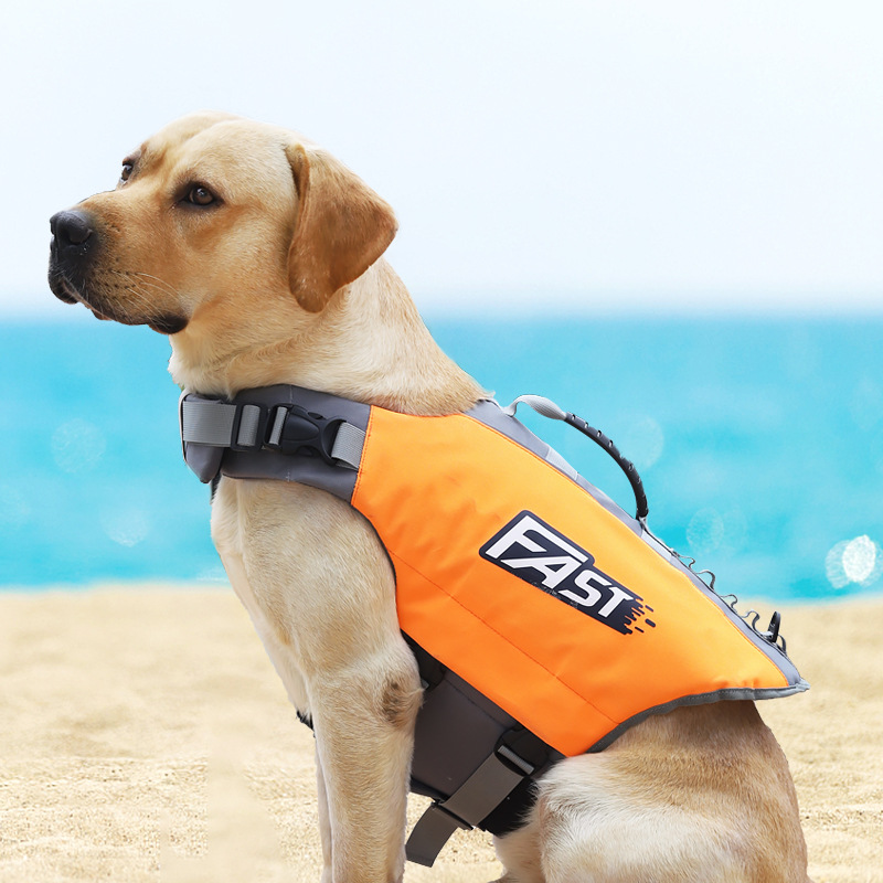 Giubbotto di Salvataggio per C - Dog Life Jacket recensione e prezzo