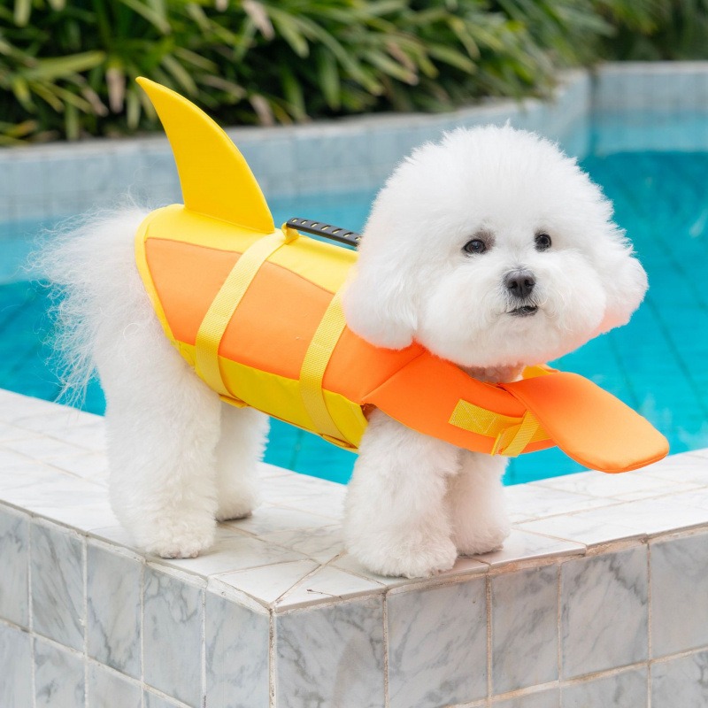 Giubbotto di salvataggio per c - Dog Life Jacket recensione e prezzo