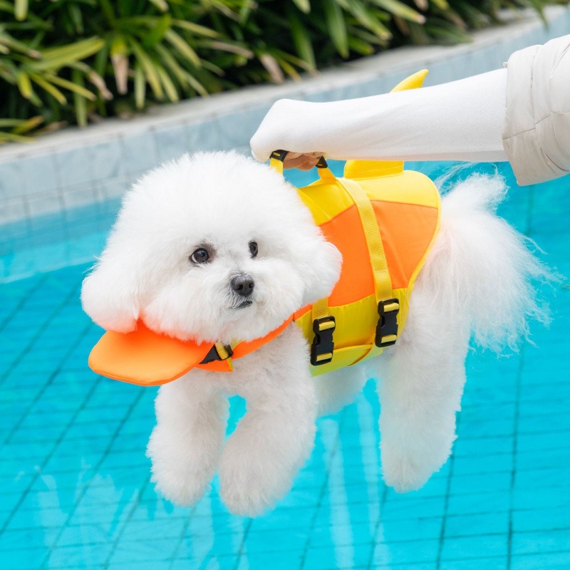 Giubbotto di salvataggio per c - Dog Life Jacket recensione e prezzo