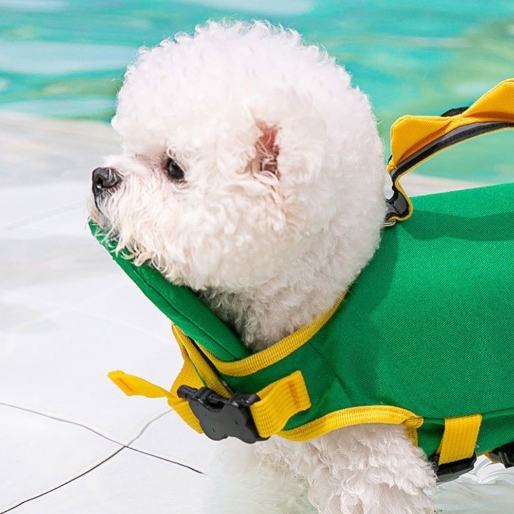 Giubbotto di Salvataggio Regol - Dog Life Jacket recensione e prezzo