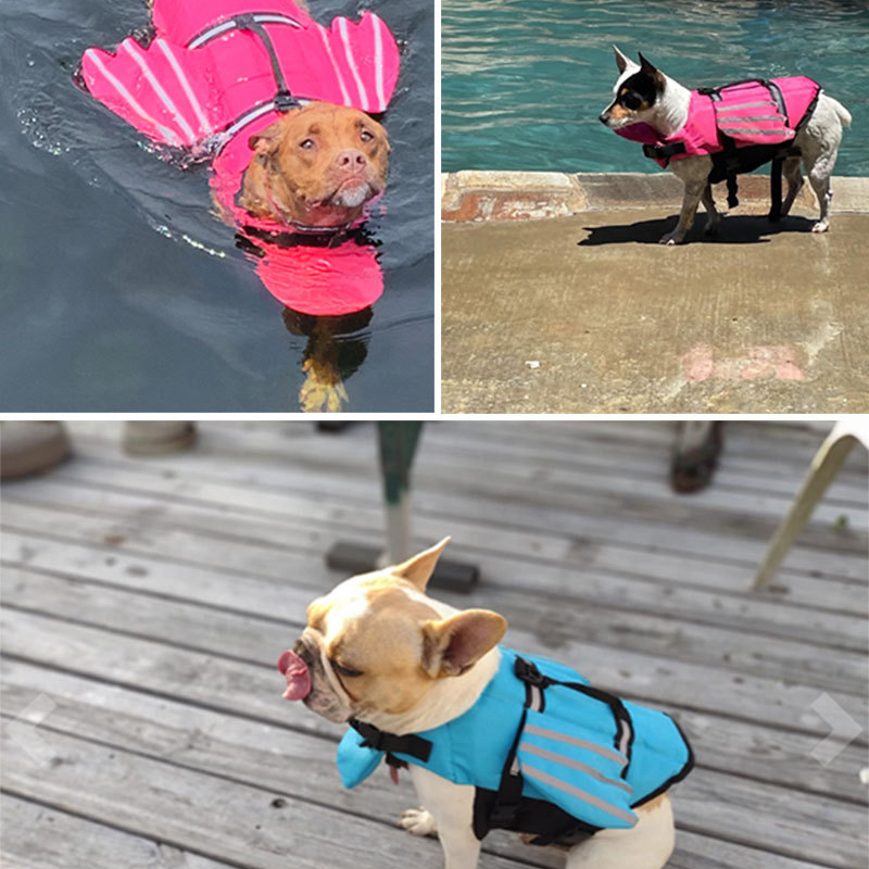 Giubbotto di salvataggio per c - Dog Life Jacket recensione e prezzo
