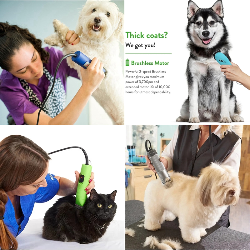 Lama A5 adatta per Andis & Ost - Dog Grooming Clippers recensione e prezzo