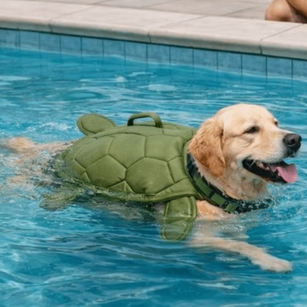 Giubbotto di Salvataggio per C - Dog Life Jacket recensione e prezzo