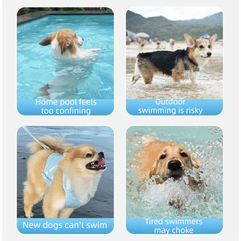 Giubbotto di Salvataggio Regol - Dog Life Jacket recensione e prezzo
