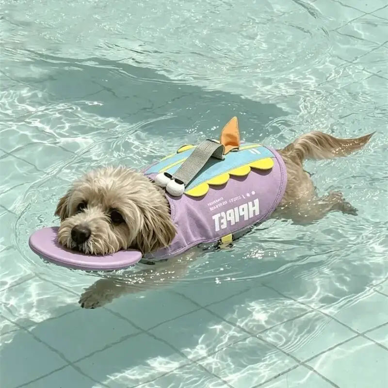 Giubbotto di salvataggio per c - Dog Life Jacket recensione e prezzo