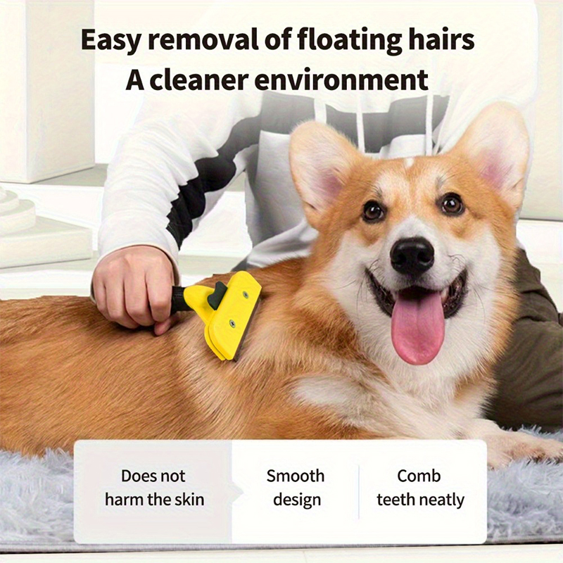 Dispositivo Magico per la Rimo - Dog Grooming Clippers recensione e prezzo